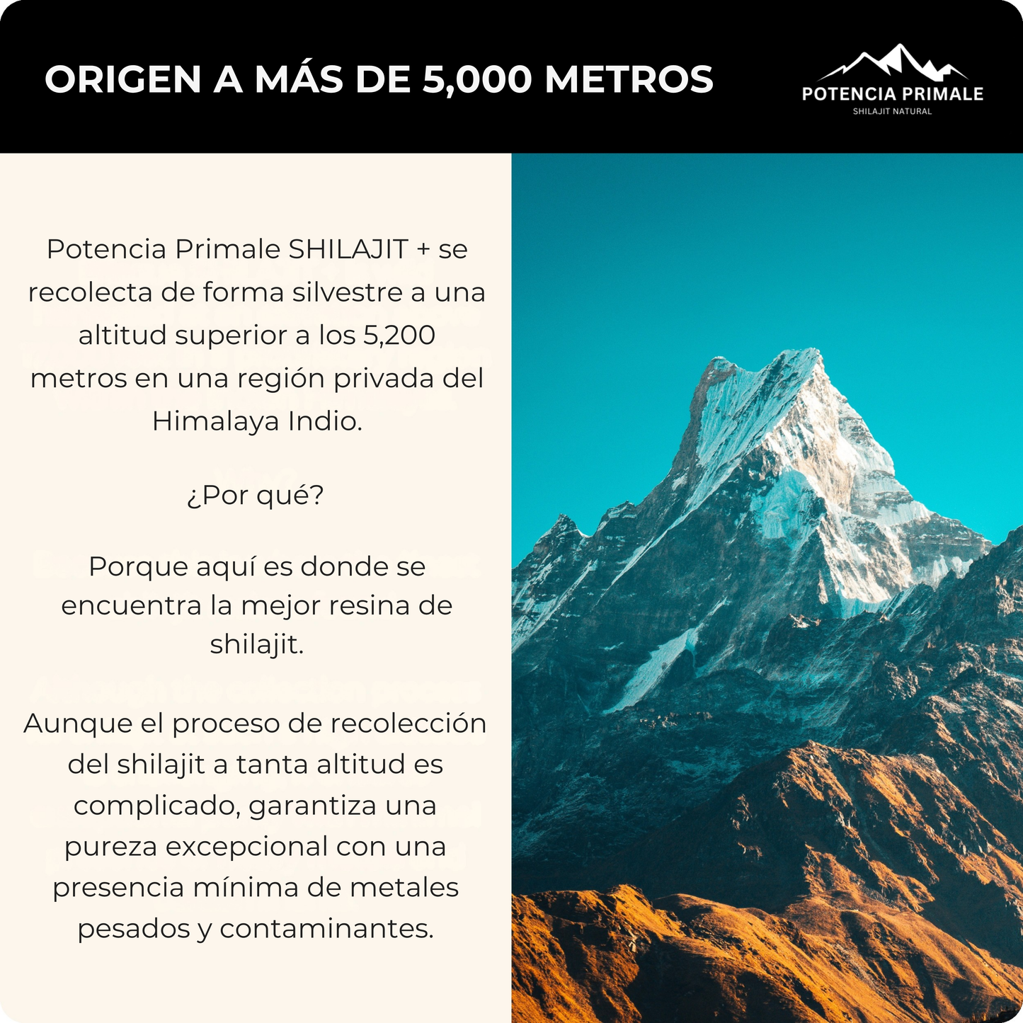 Shilajit Puro de Alta Montaña