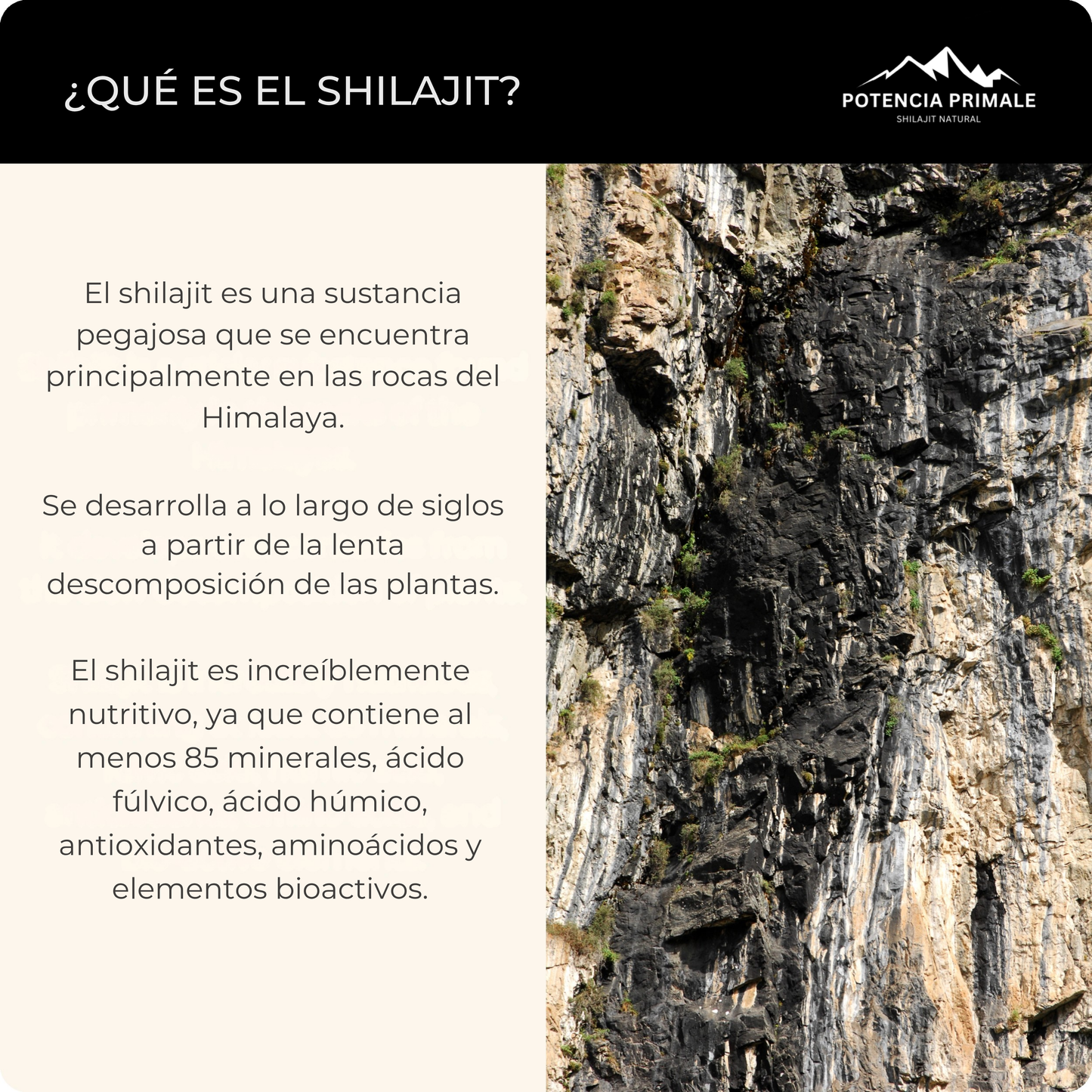 Shilajit Puro de Alta Montaña
