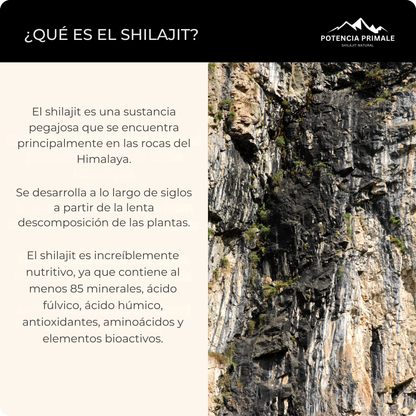 Shilajit Puro de Alta Montaña